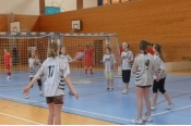 199_vybijena002.jpg