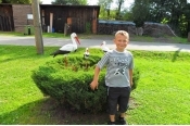 287_seznamovak201204.jpg