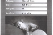 353_mrstina.jpg