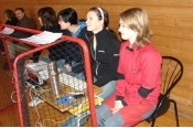 39_basket-005.jpg