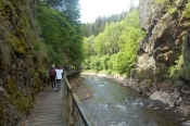 583_dscn0848.jpg